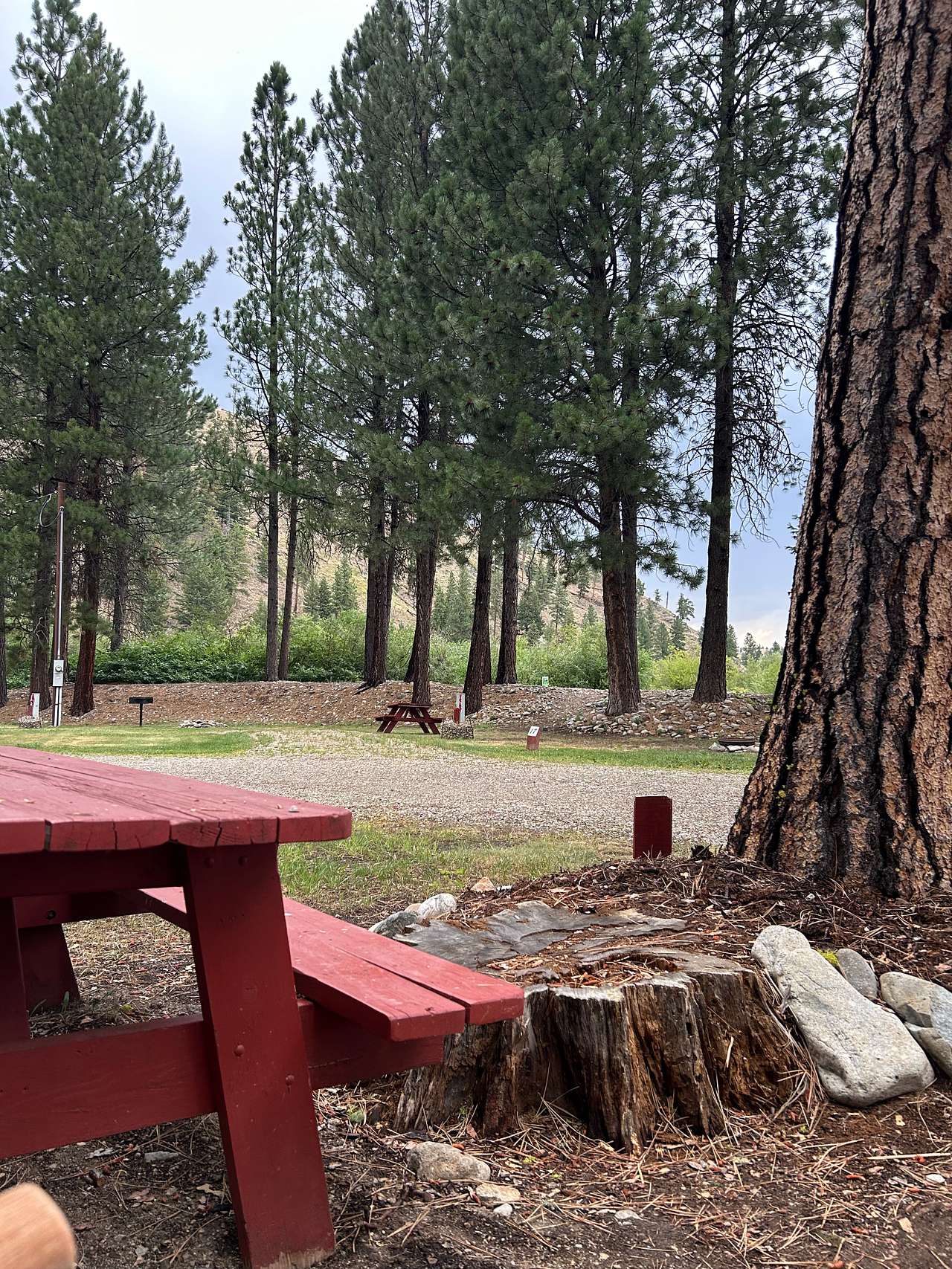 Picture of the site