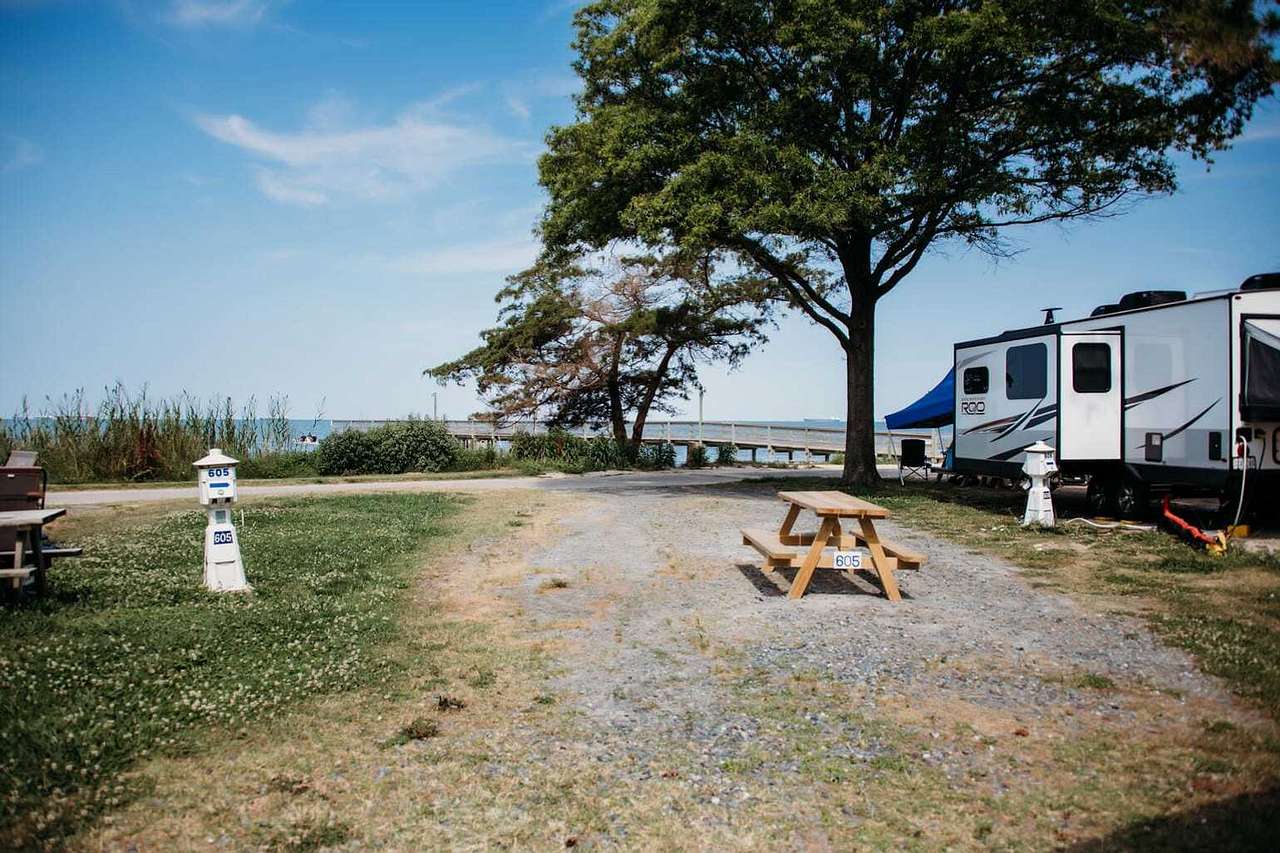 Picture of the site