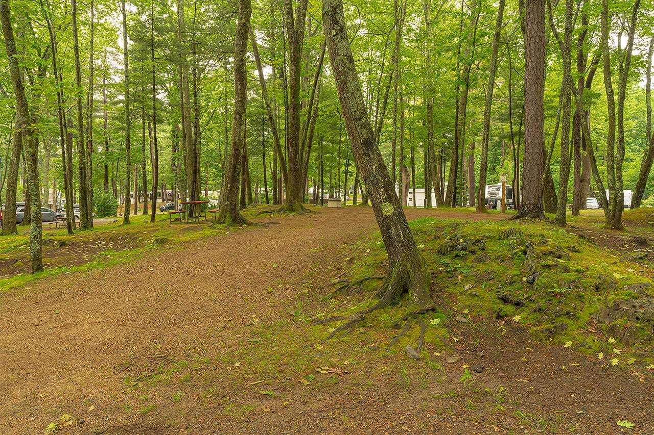 Tent Site