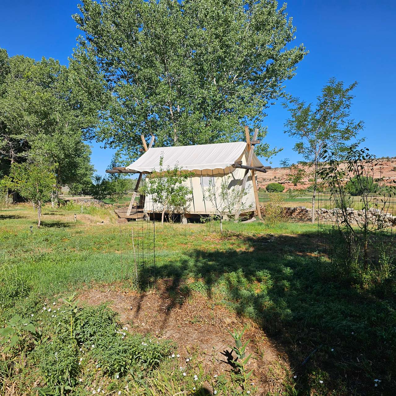 Orchard Camp at RoFo Ranch