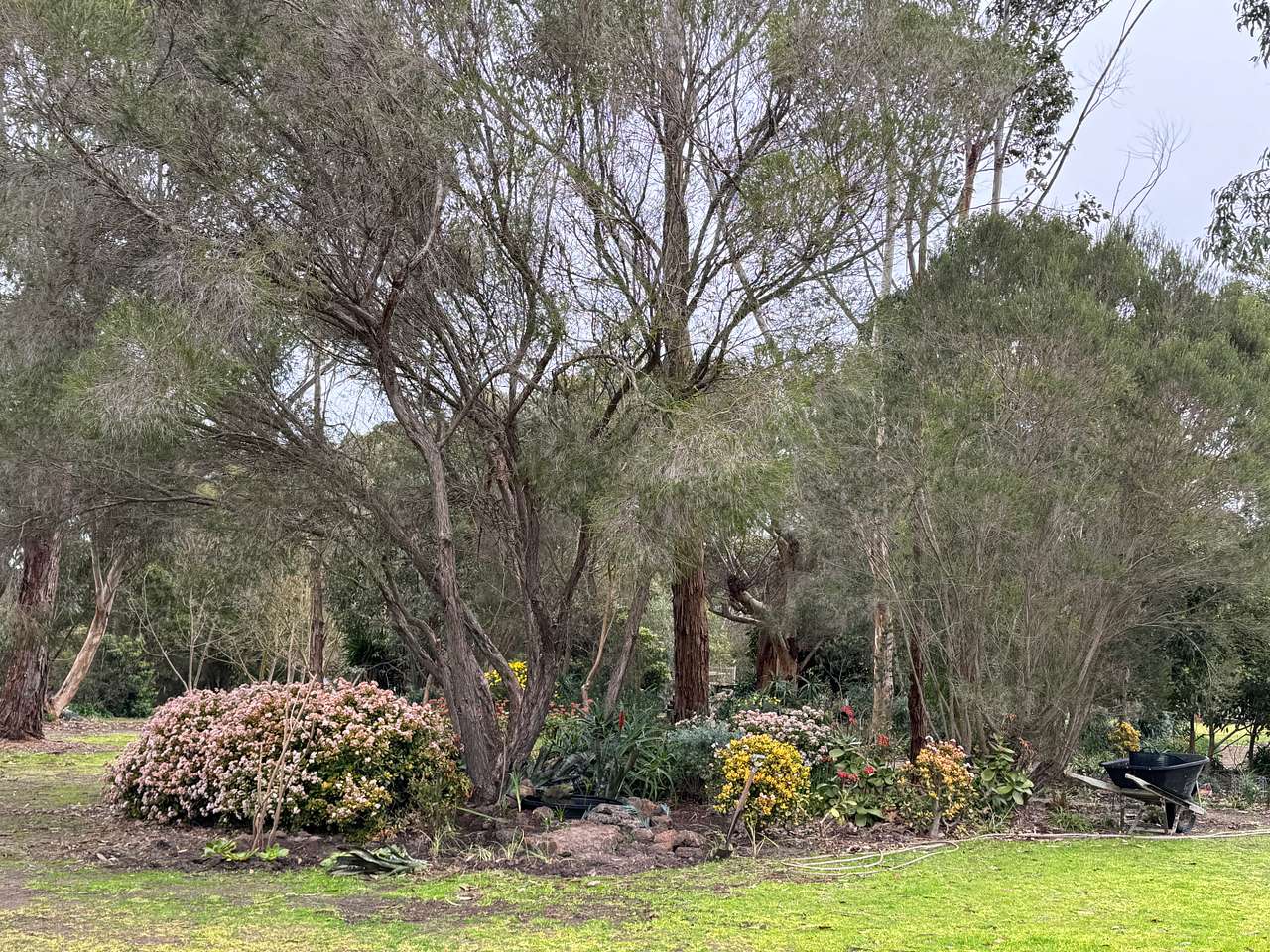 Polly's Paddock