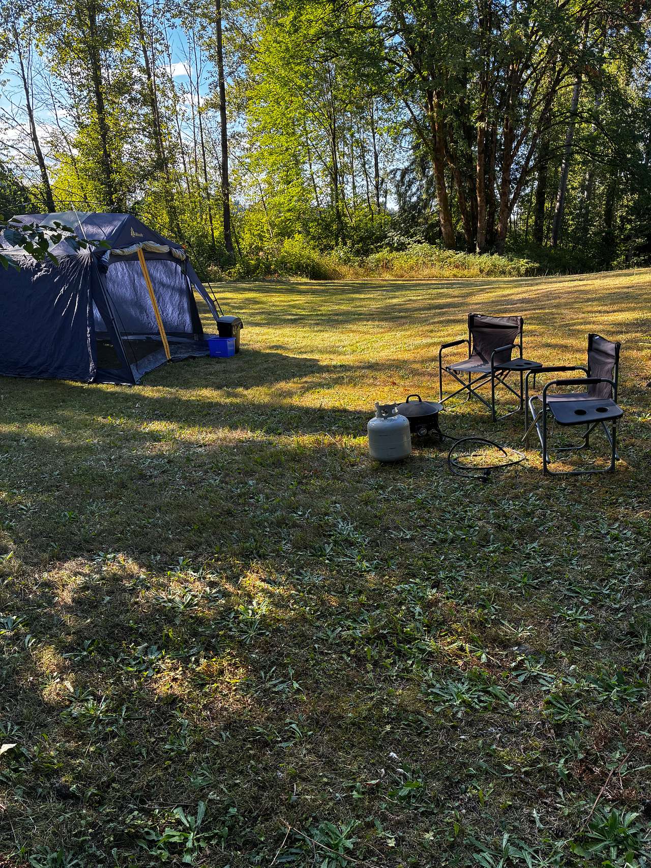 Picture of the site