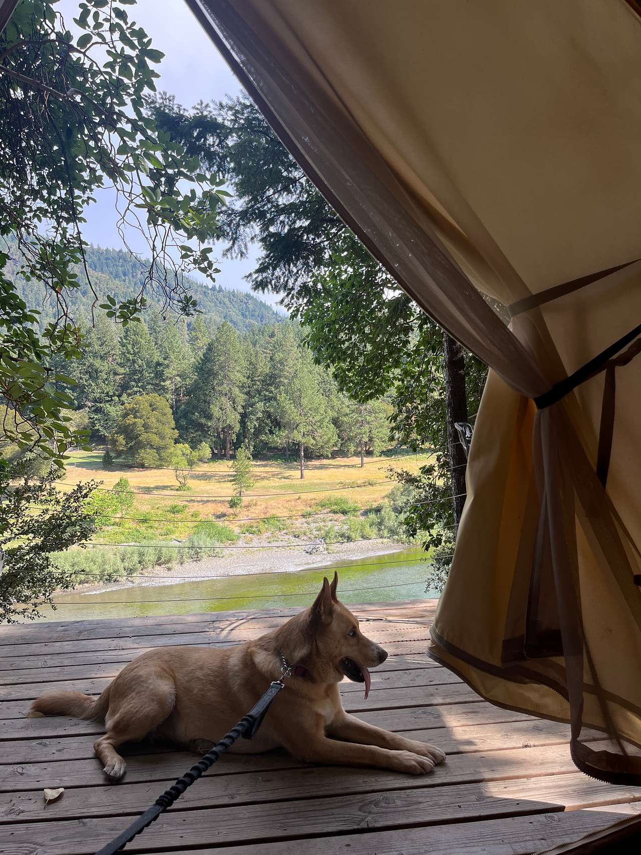 View from the tent :) 