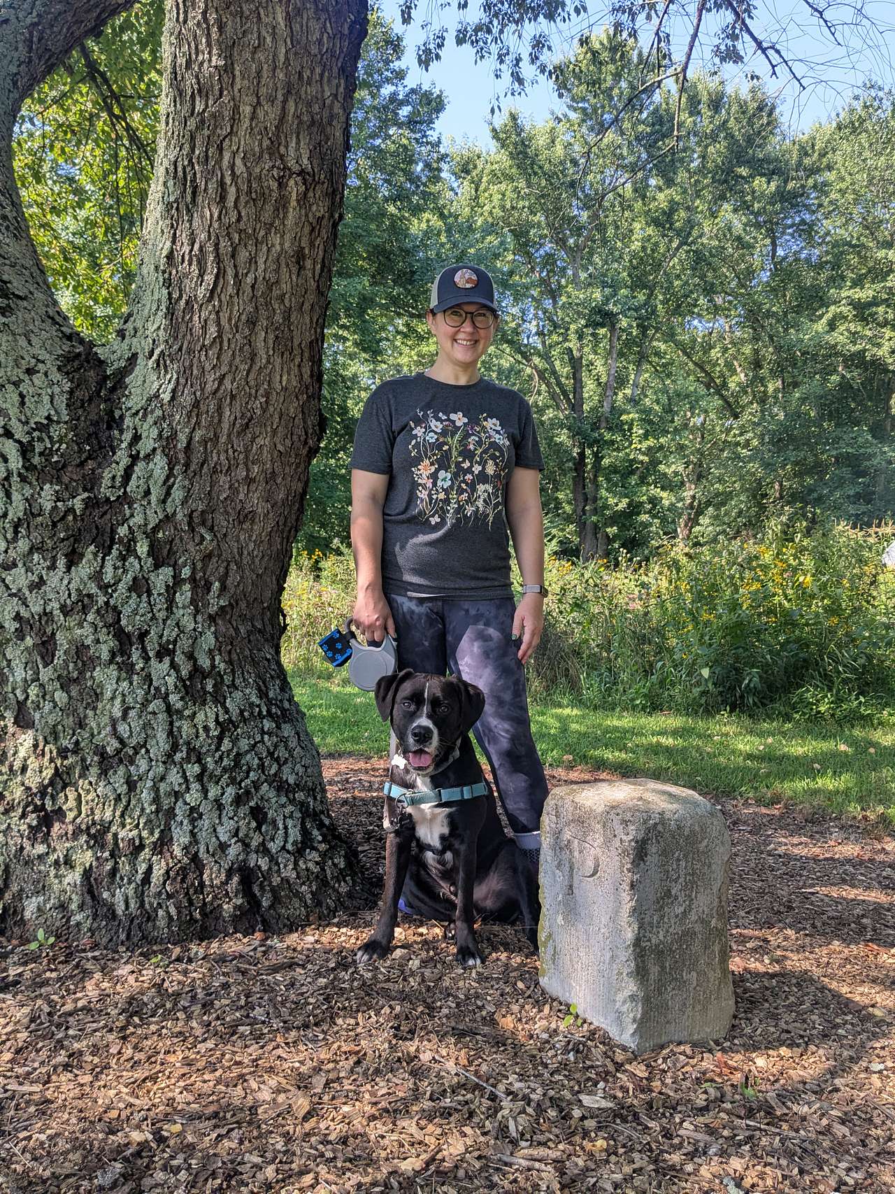 The Unplugged Forest