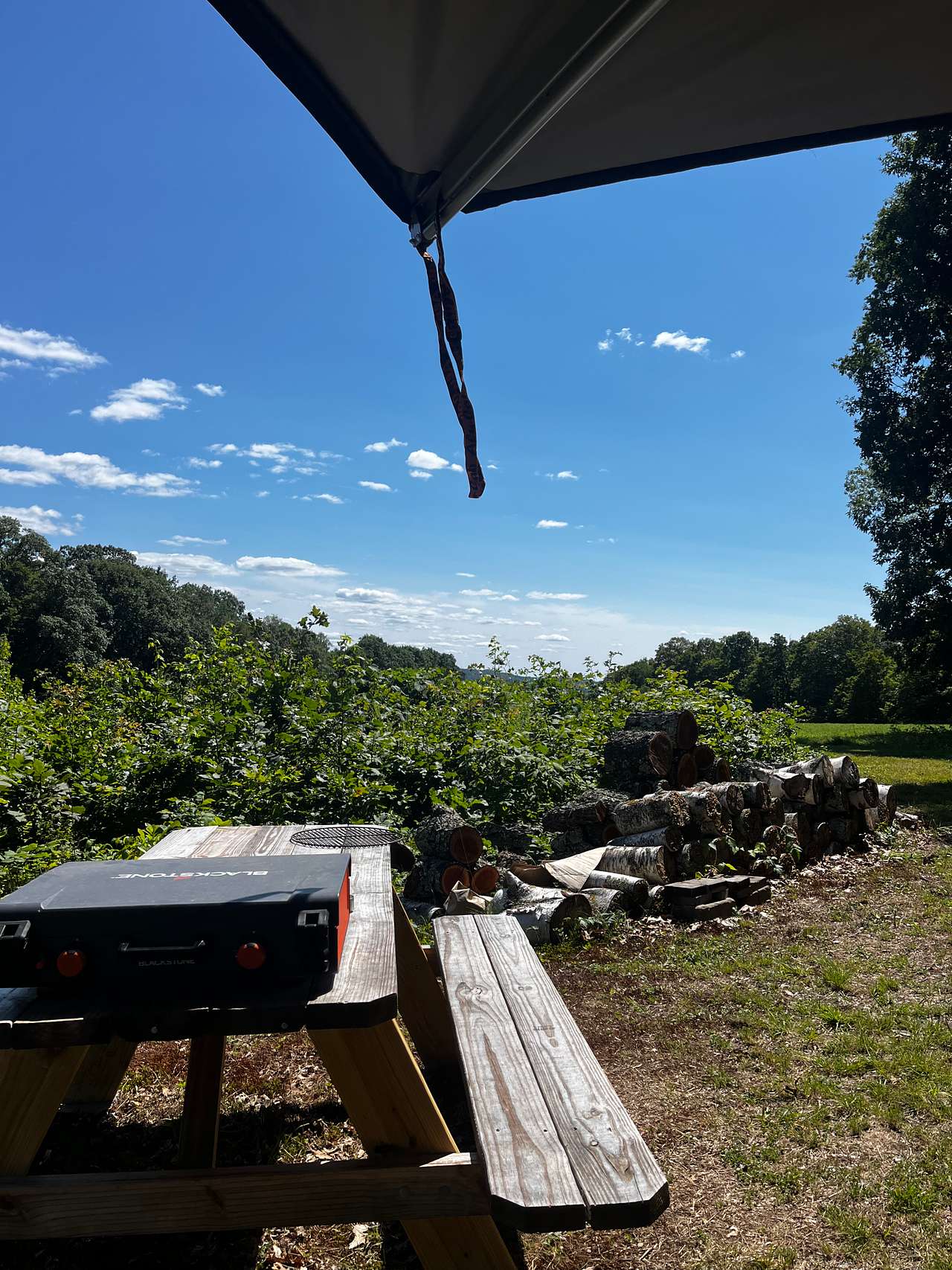 Picture of the site