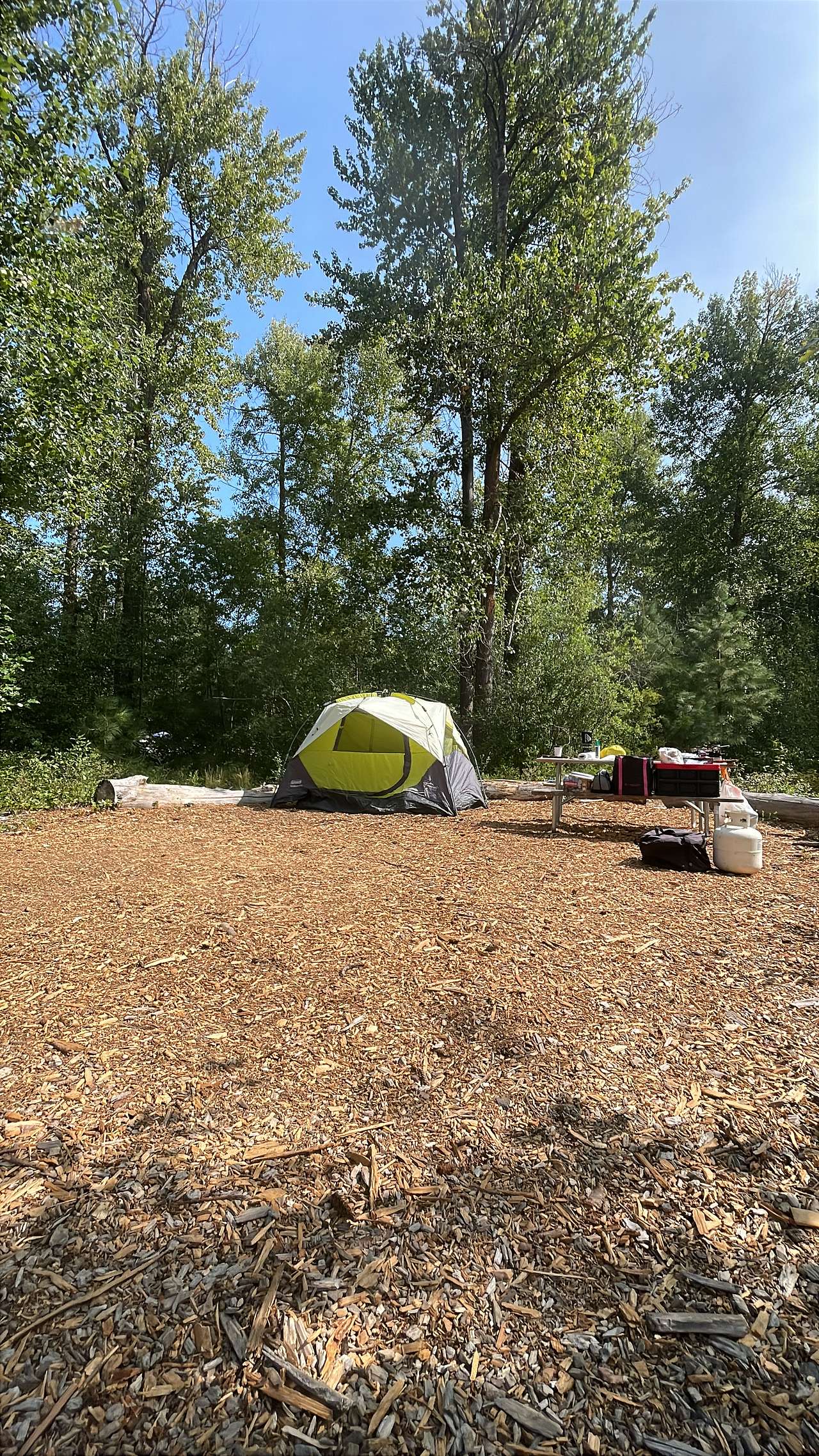 Picture of the site