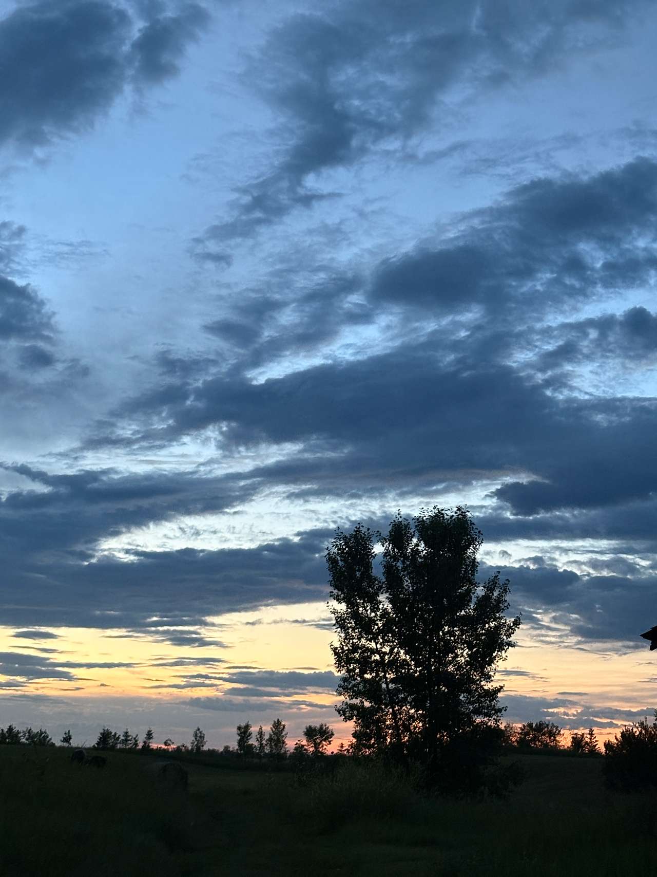 Sunset.