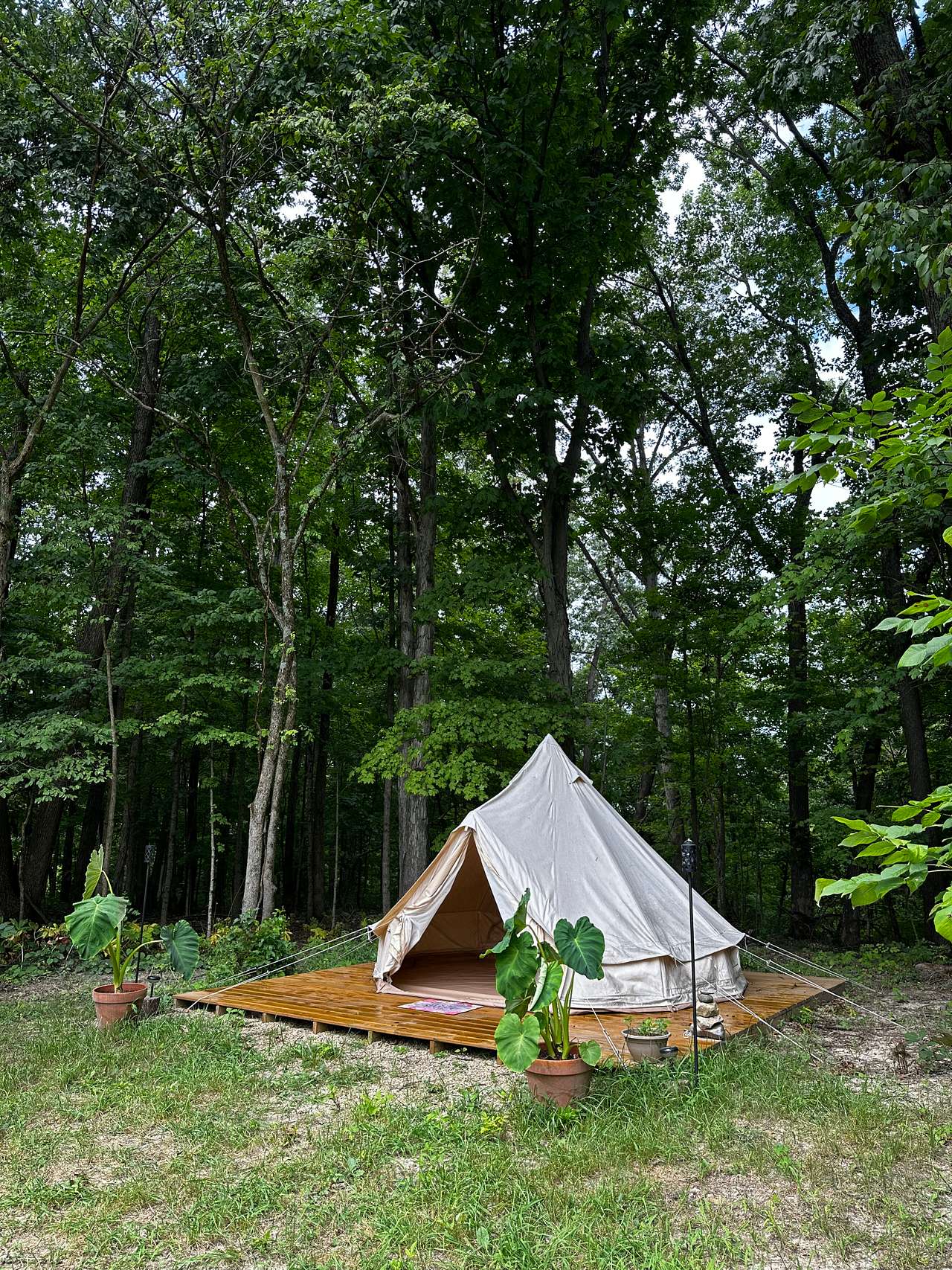 Picture of the site