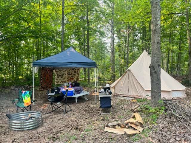 Picture of the site