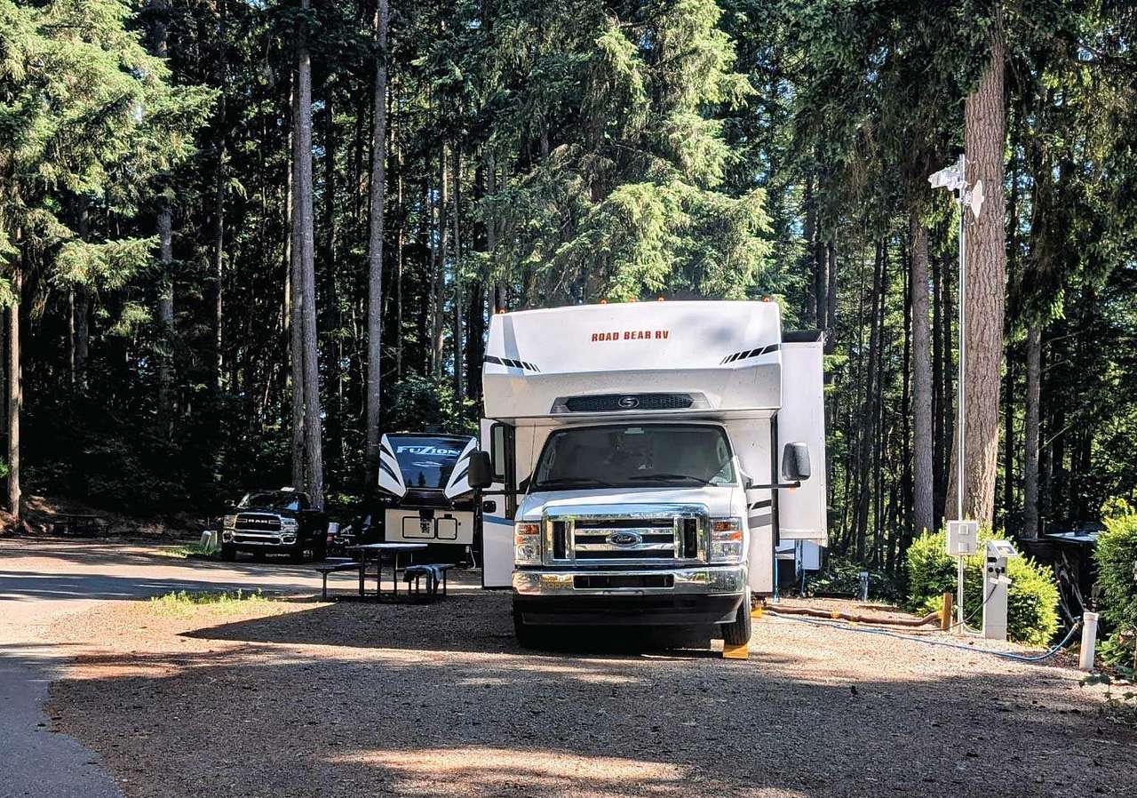 Picture of the site