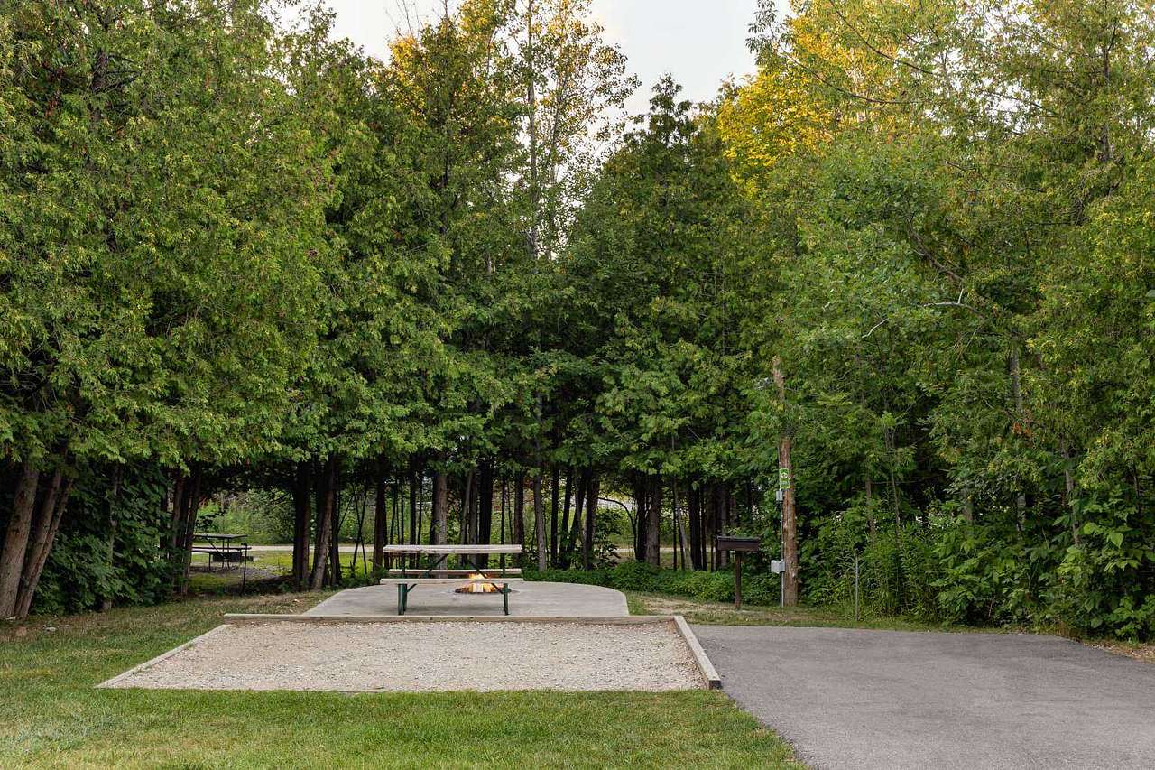Picture of the site