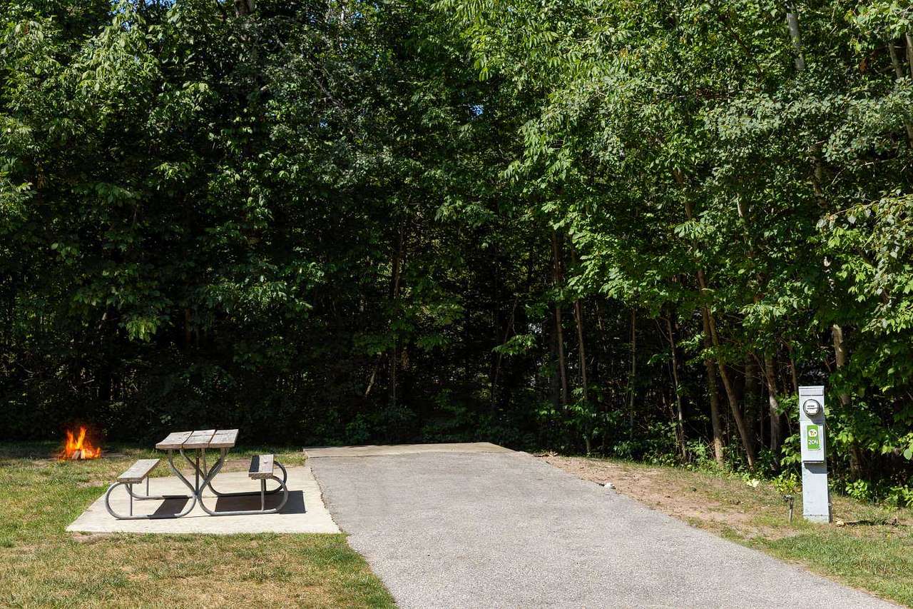 Picture of the site