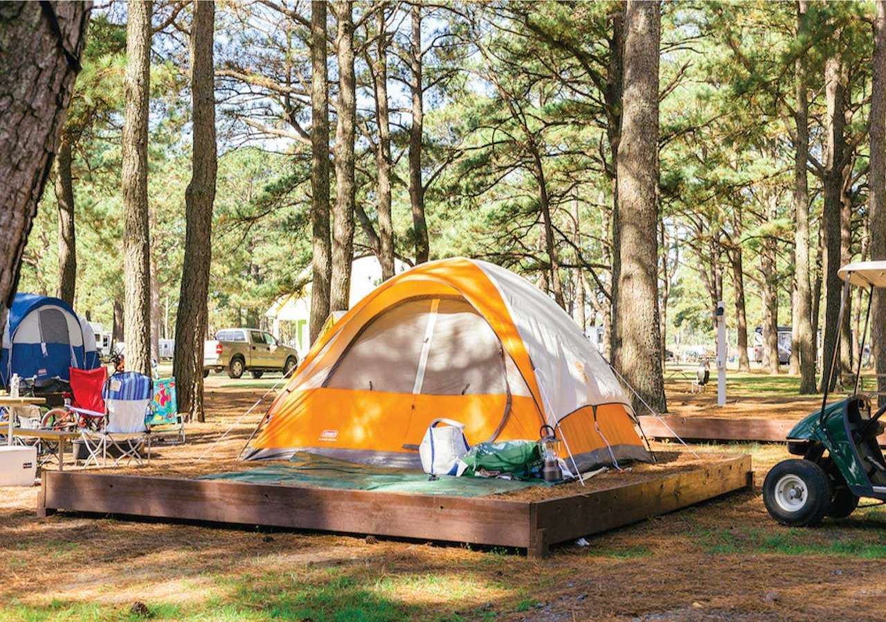 Picture of the site