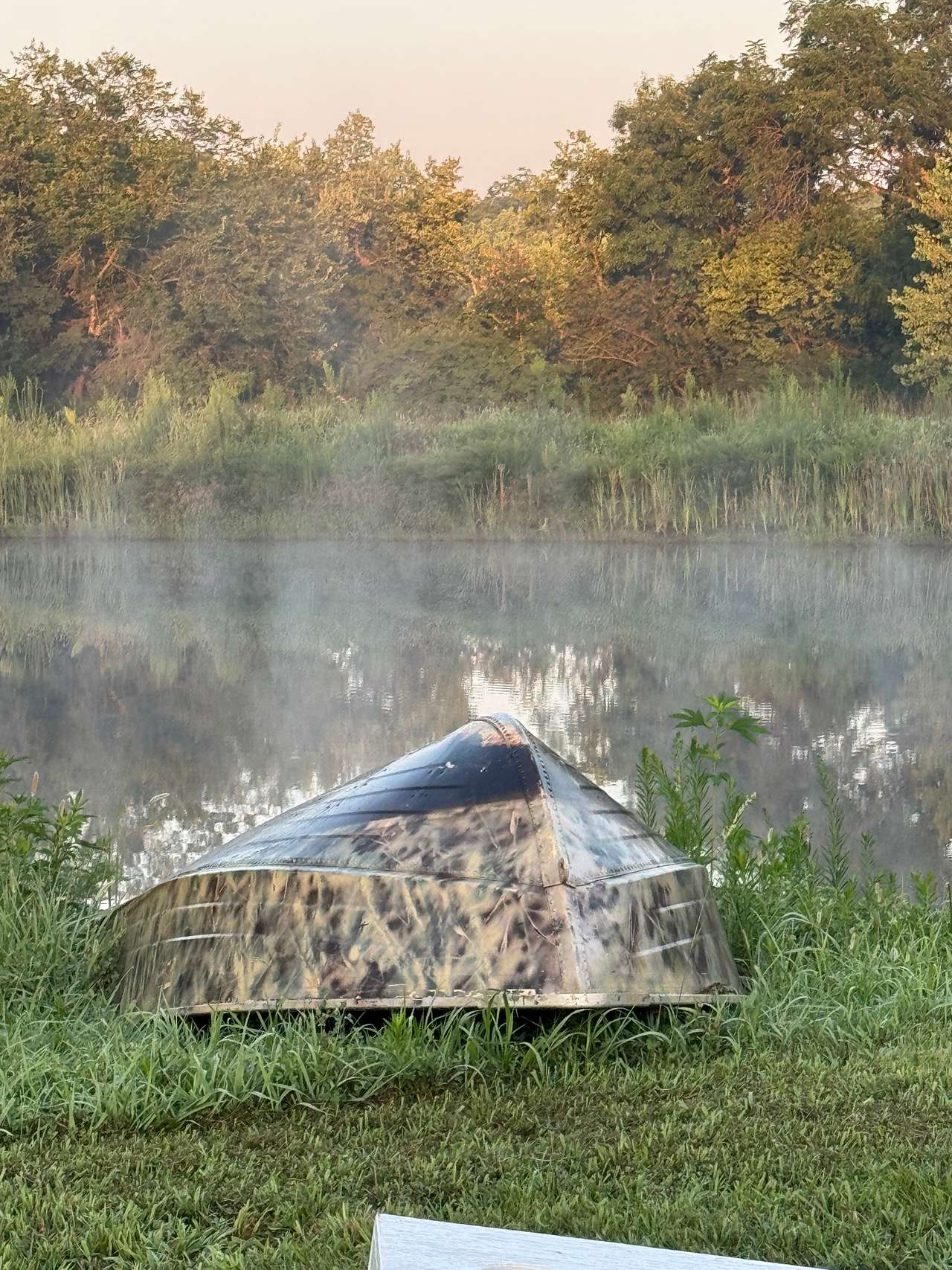Pond early morning