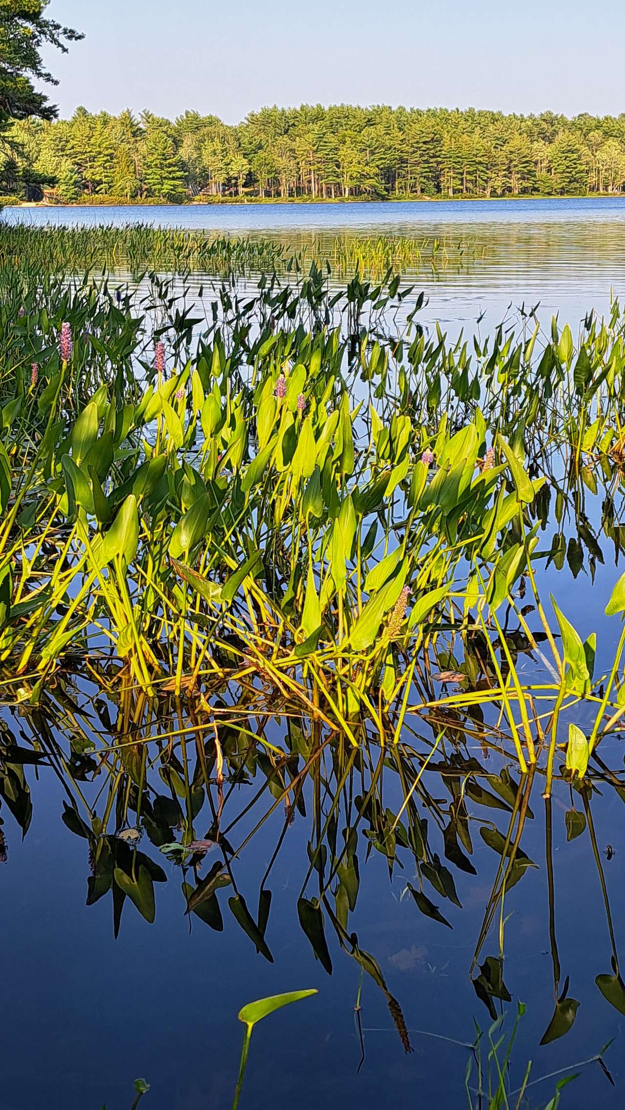 Ashland Lake Retreats At Grant Lake