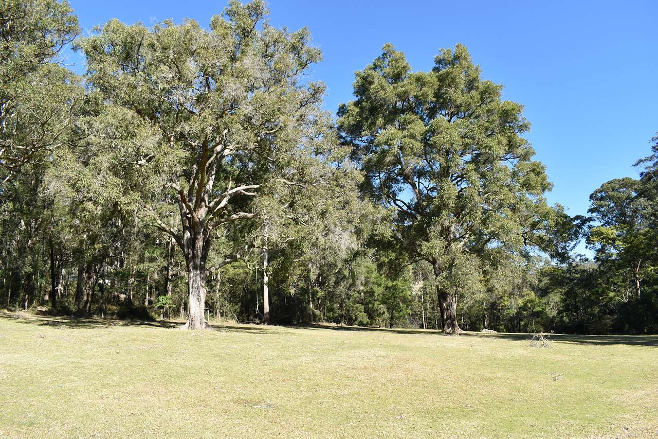 Camp Yerriyong