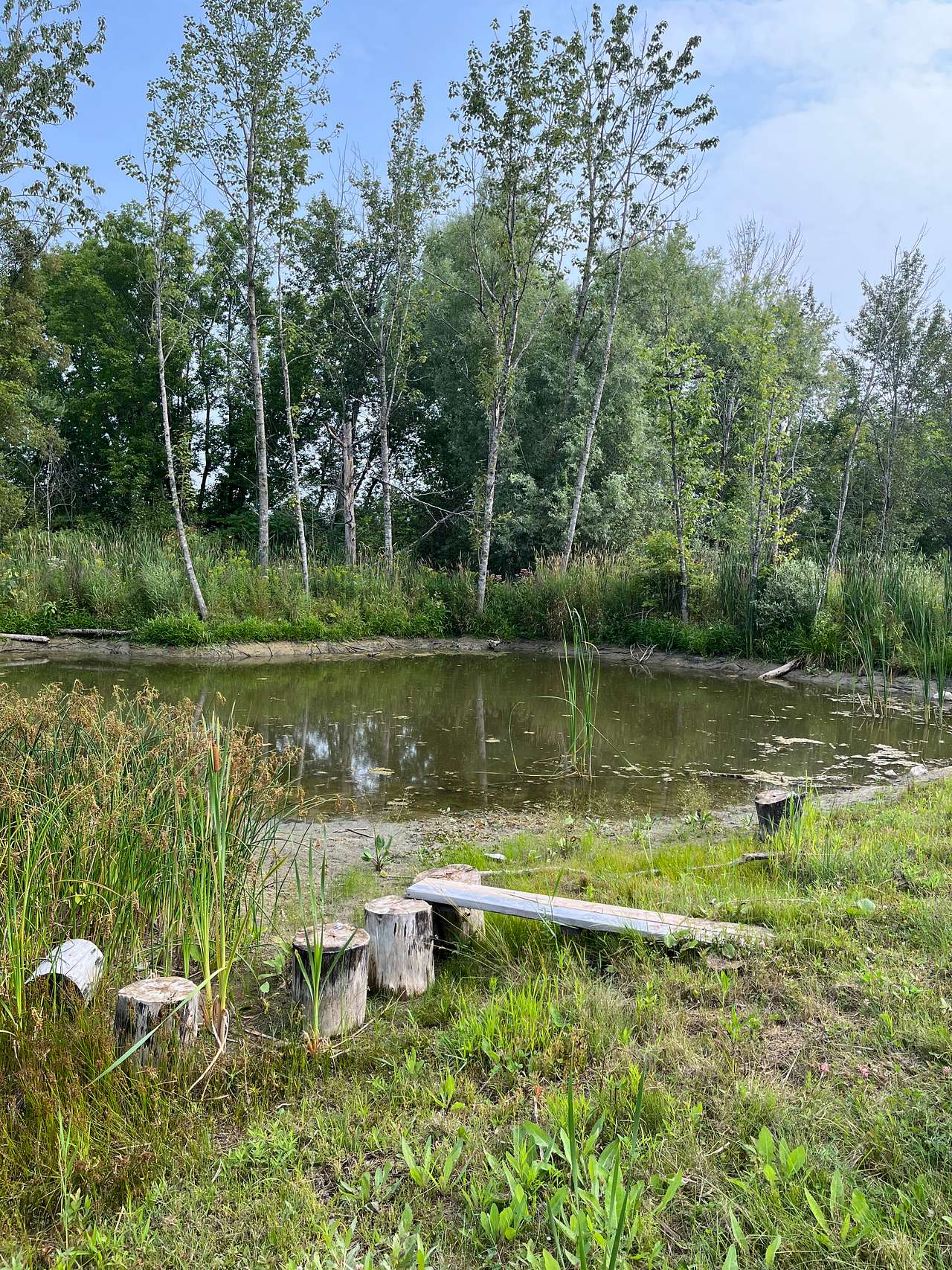 Picture of the site