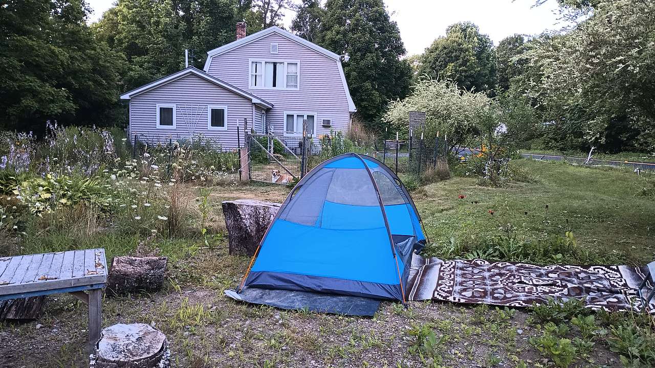 Picture of the site