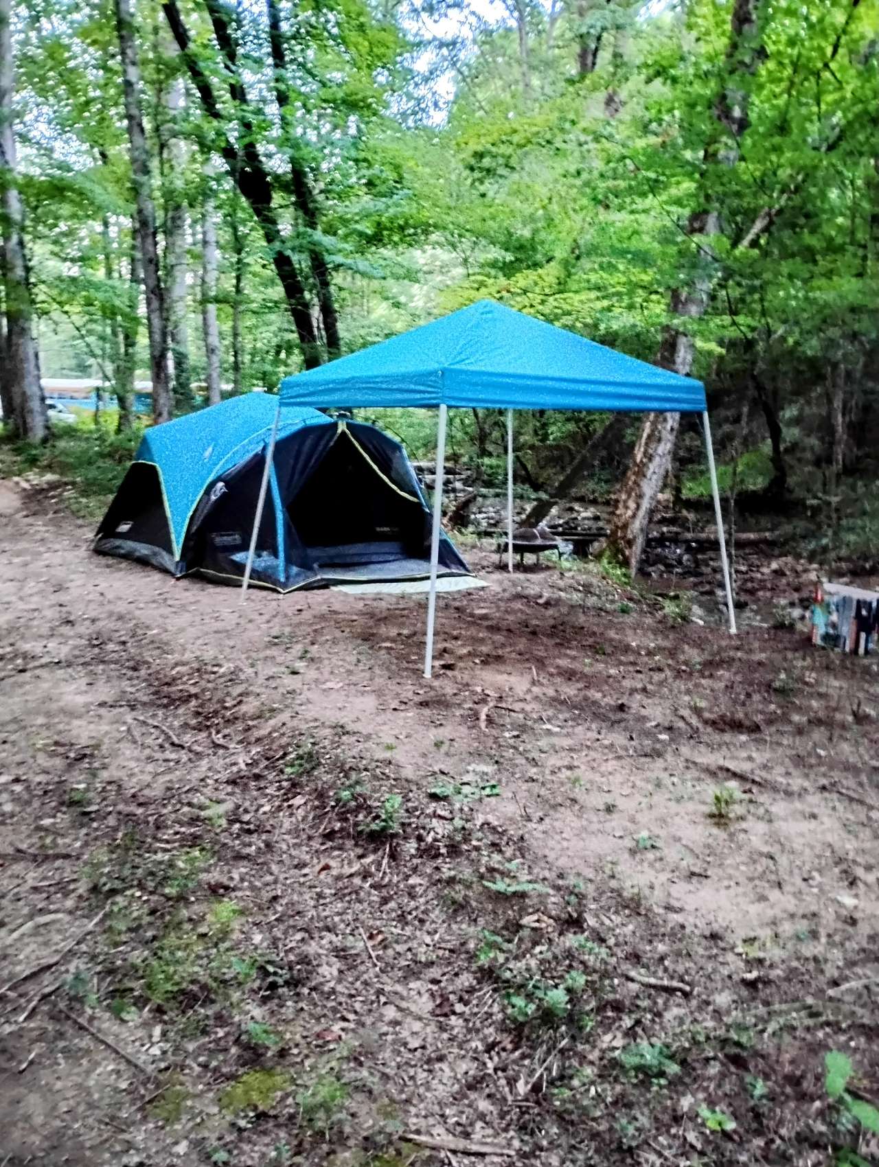 Picture of the site