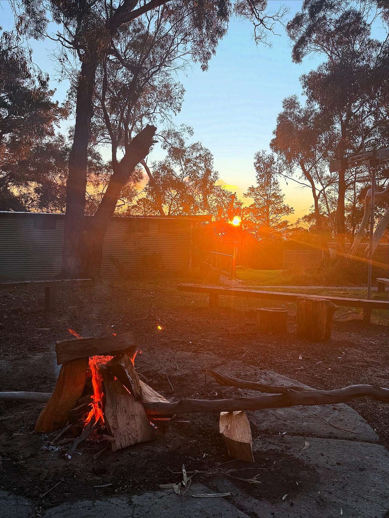 Picture of the site