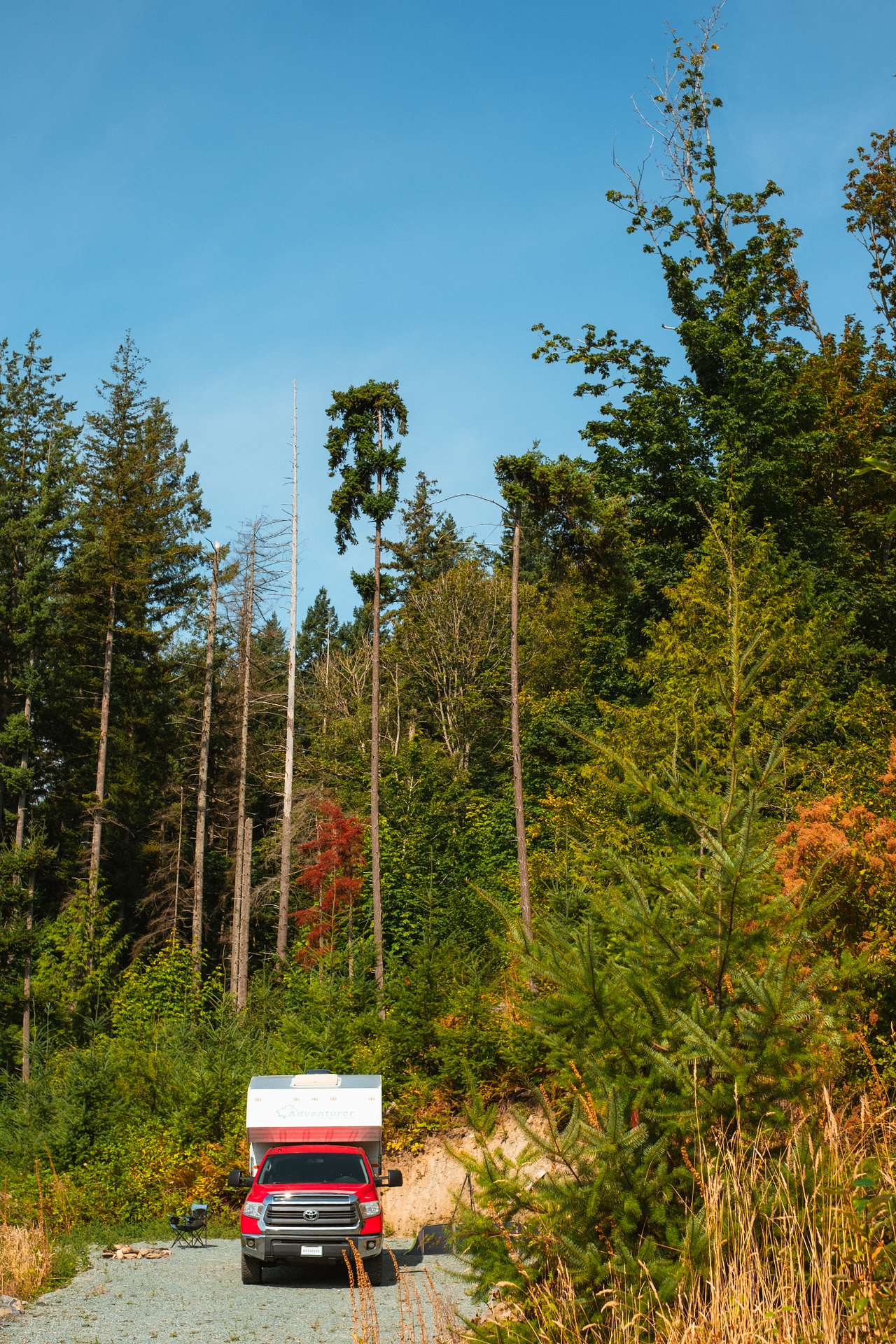 Picture of the site