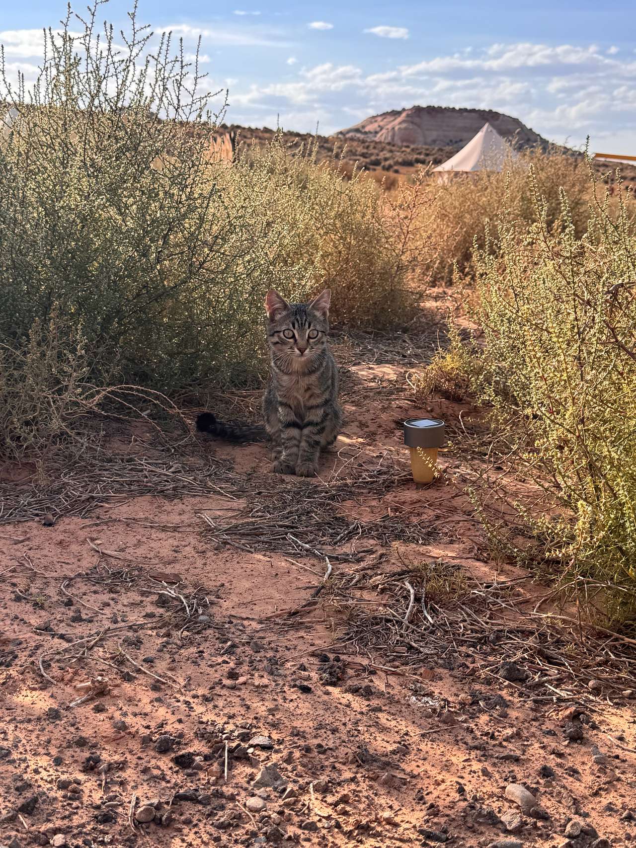 Glamping Canyonlands