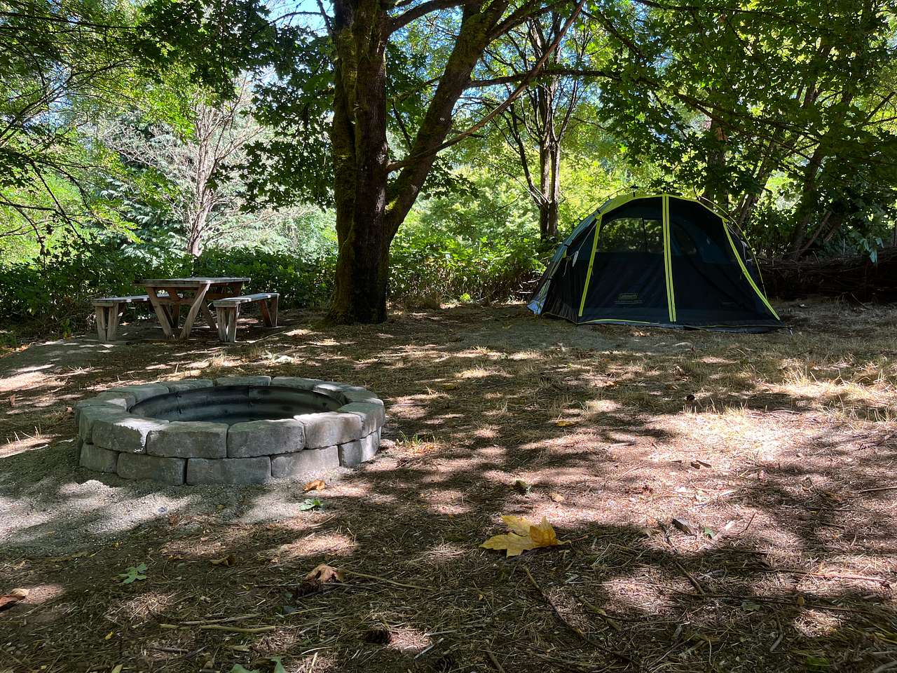 Large fire pit, level tent sites and level picnic table