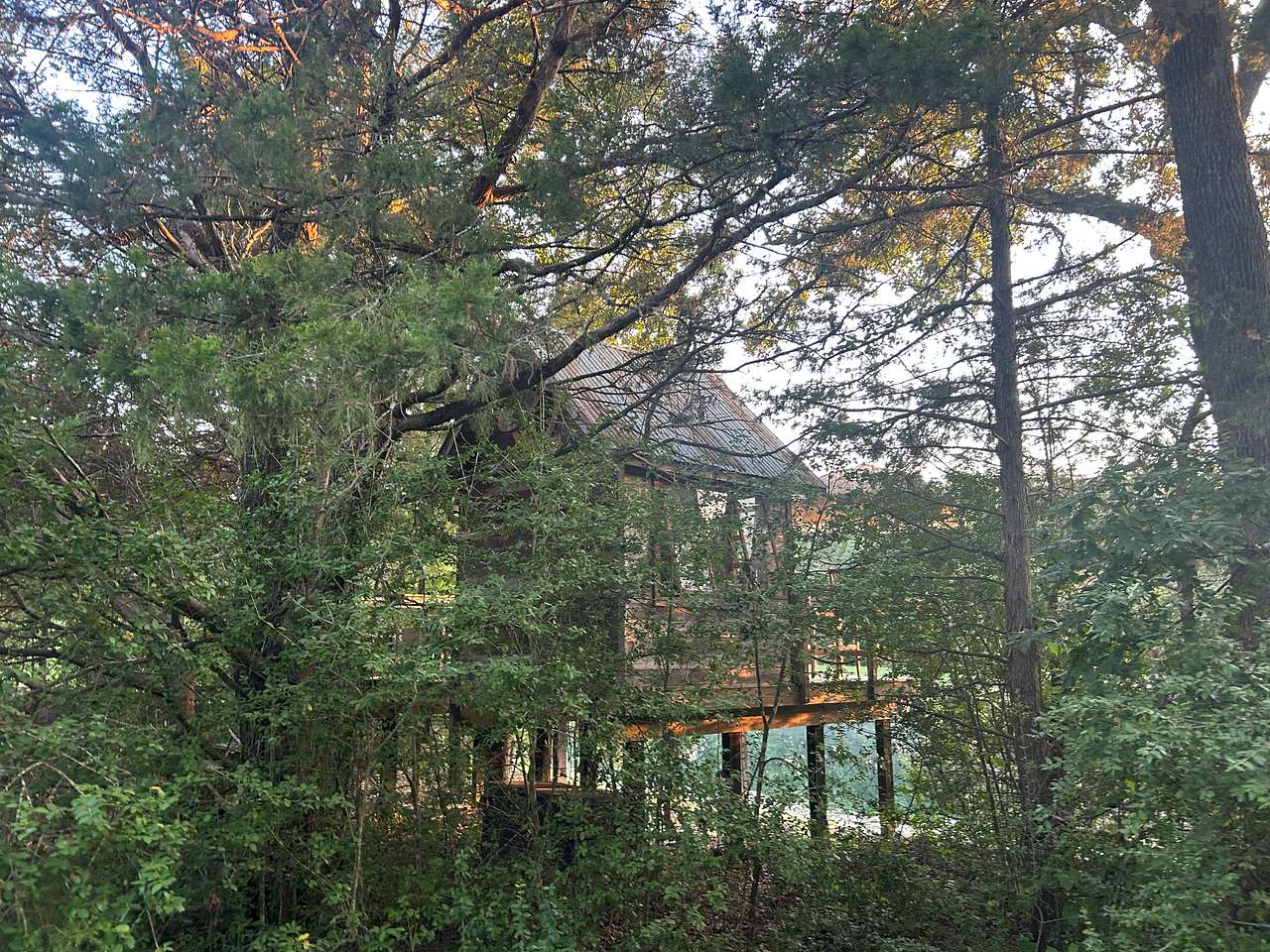 Texas Safari Camp