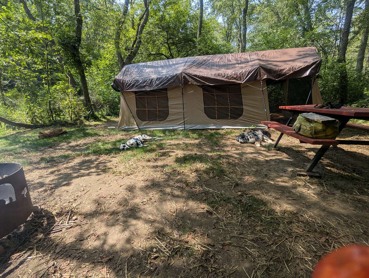 Picture of the site