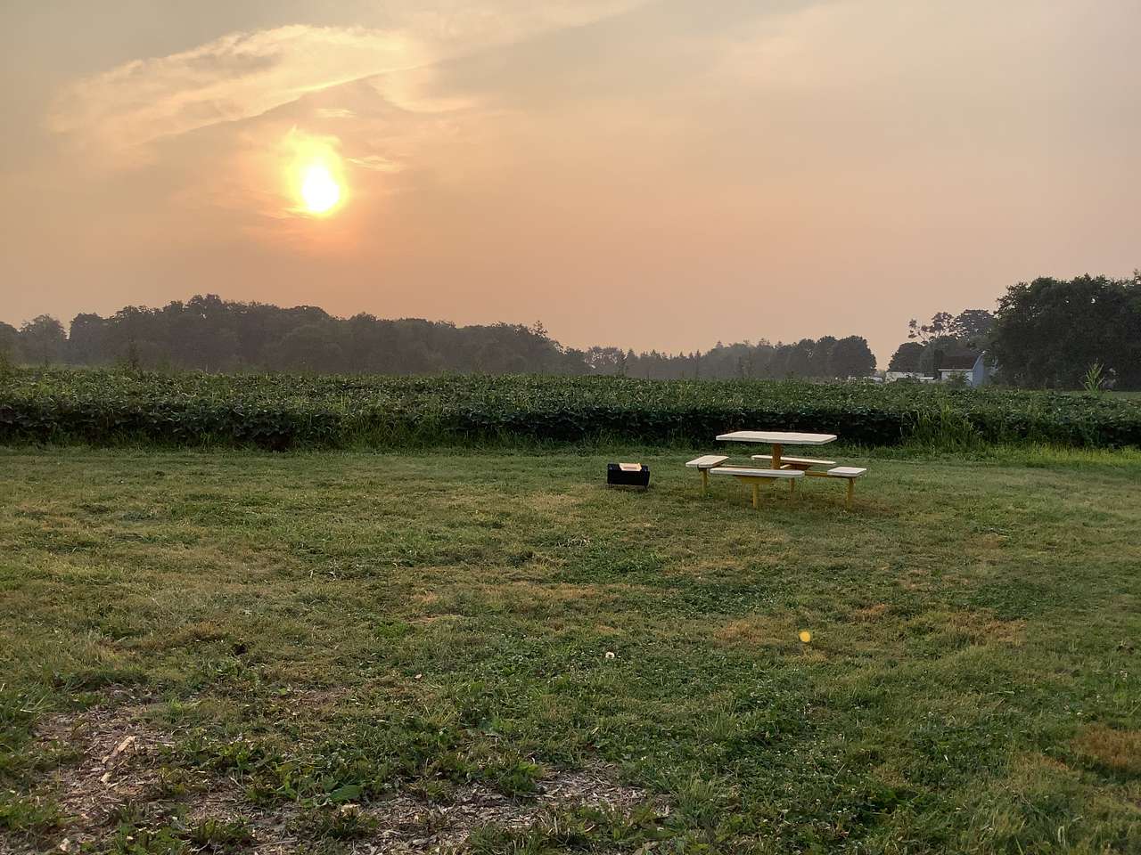 The Farm