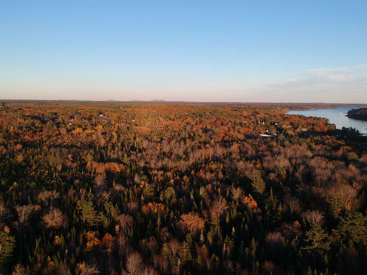 40 Acre Wood