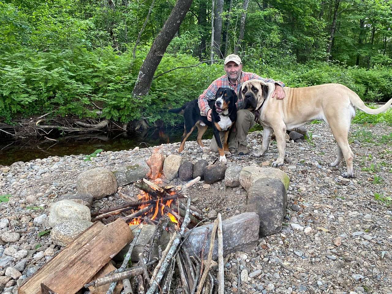 View pets photos of Riddle Hill Homestead