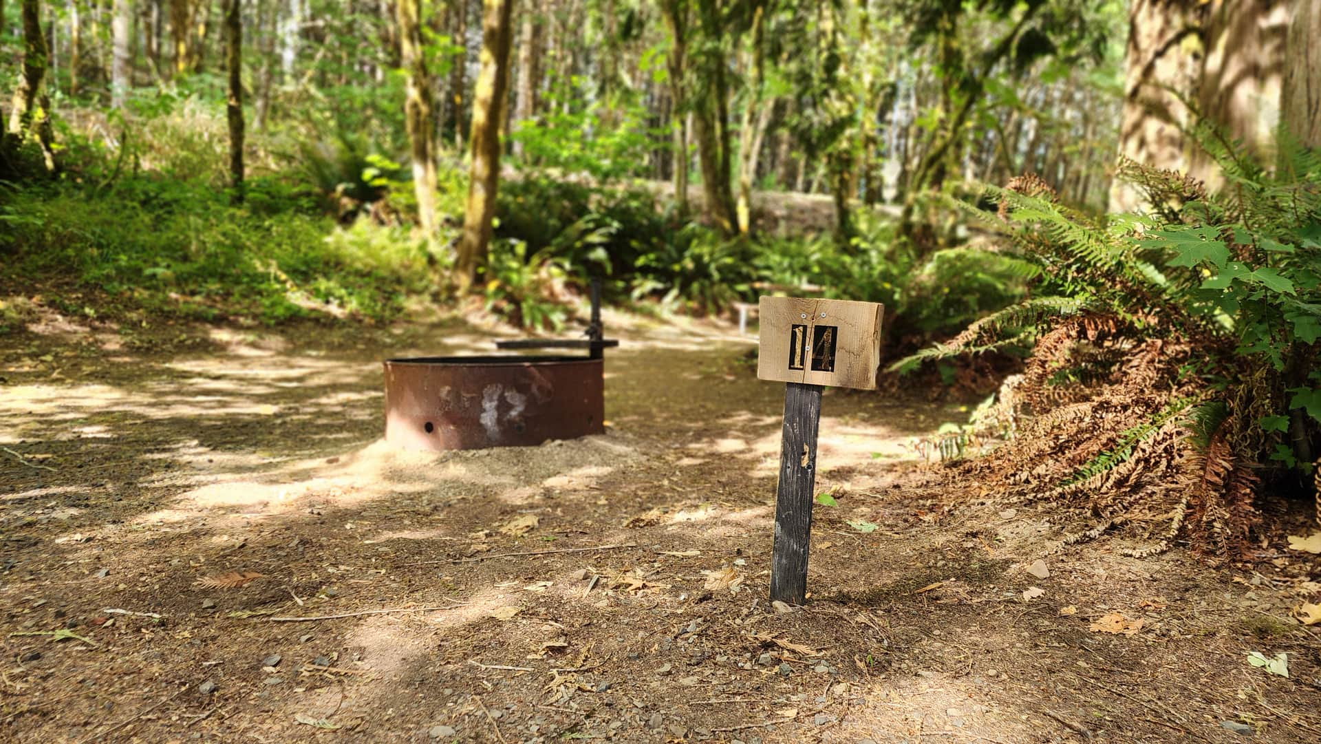 Picture of the site