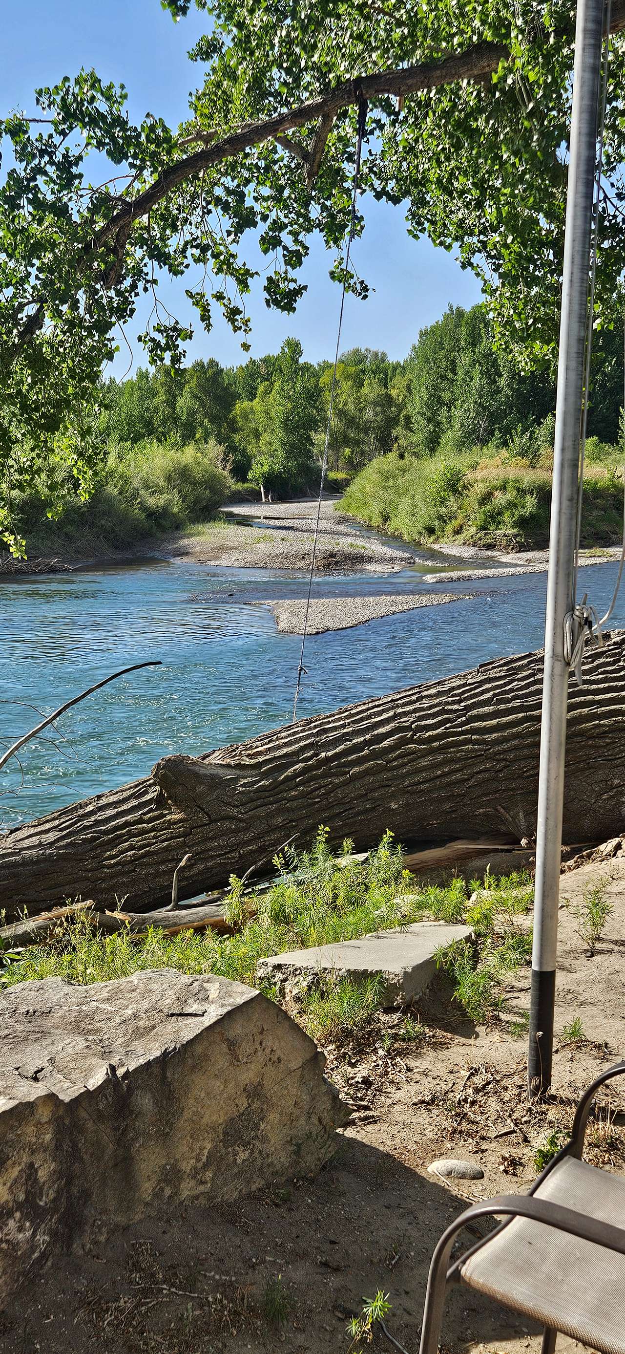 Picture of the site