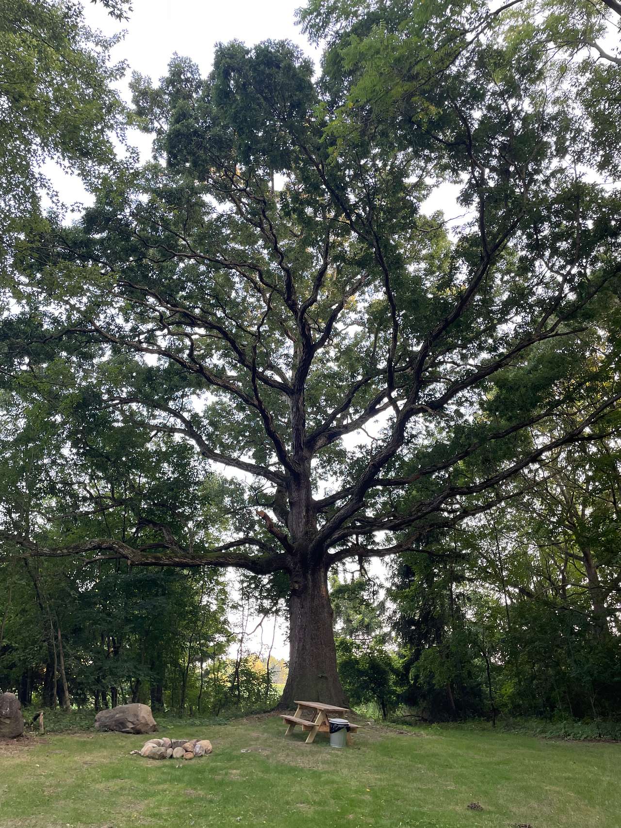 Boone Farm & Forest