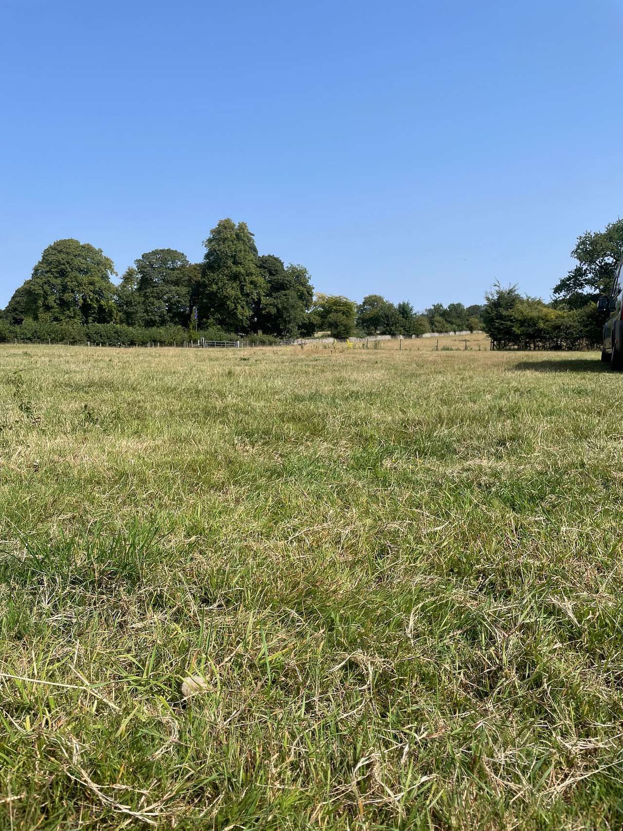 Jacks field