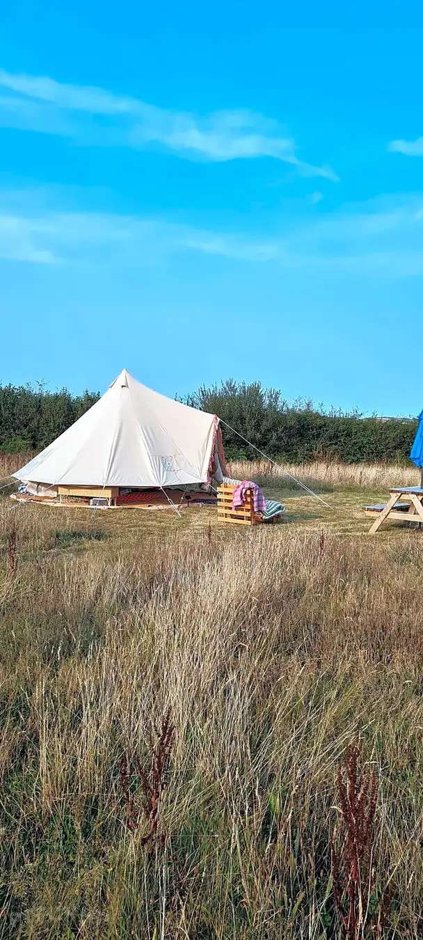 OutStanding In Our Field Devon