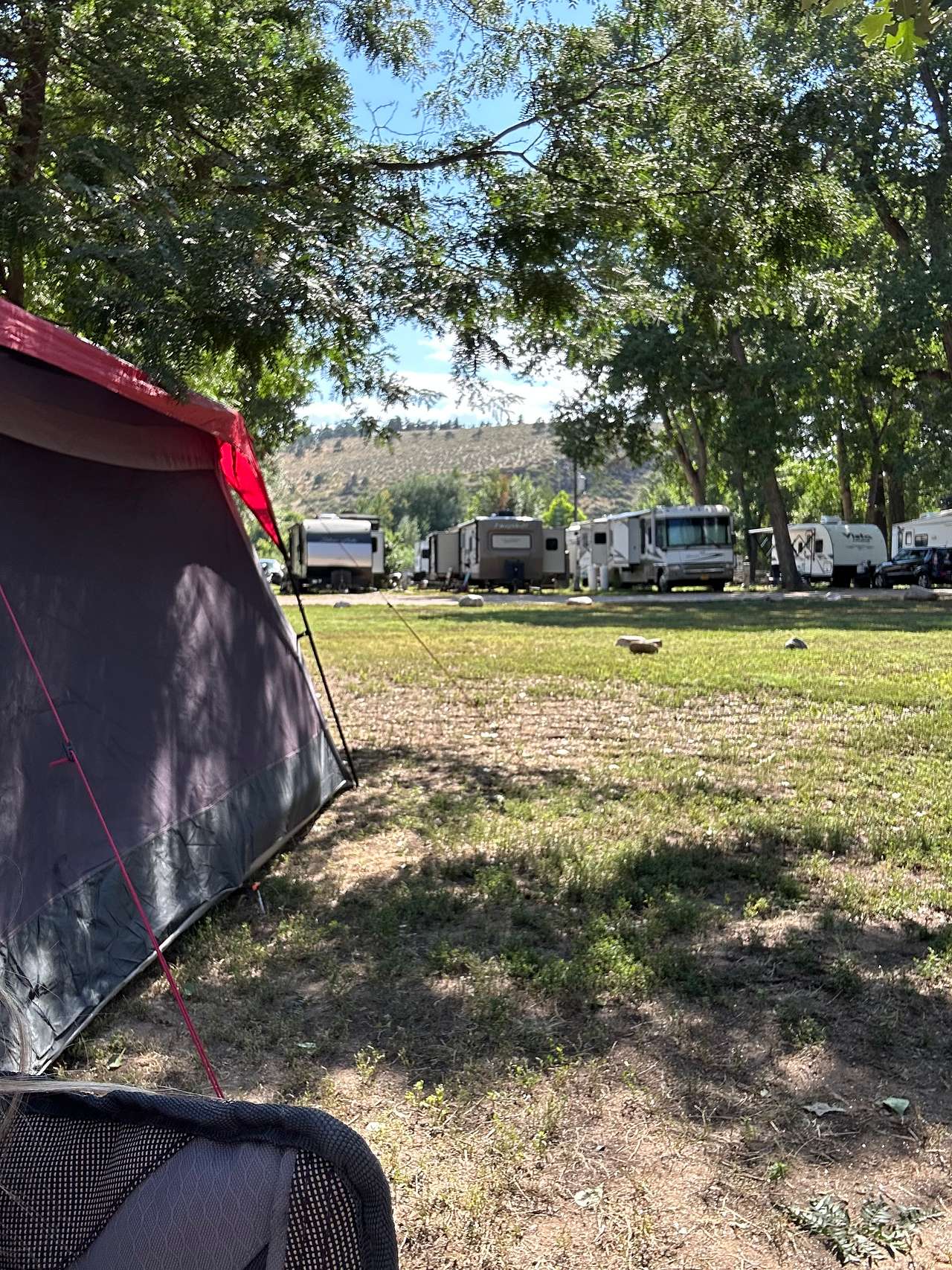 Picture of the site