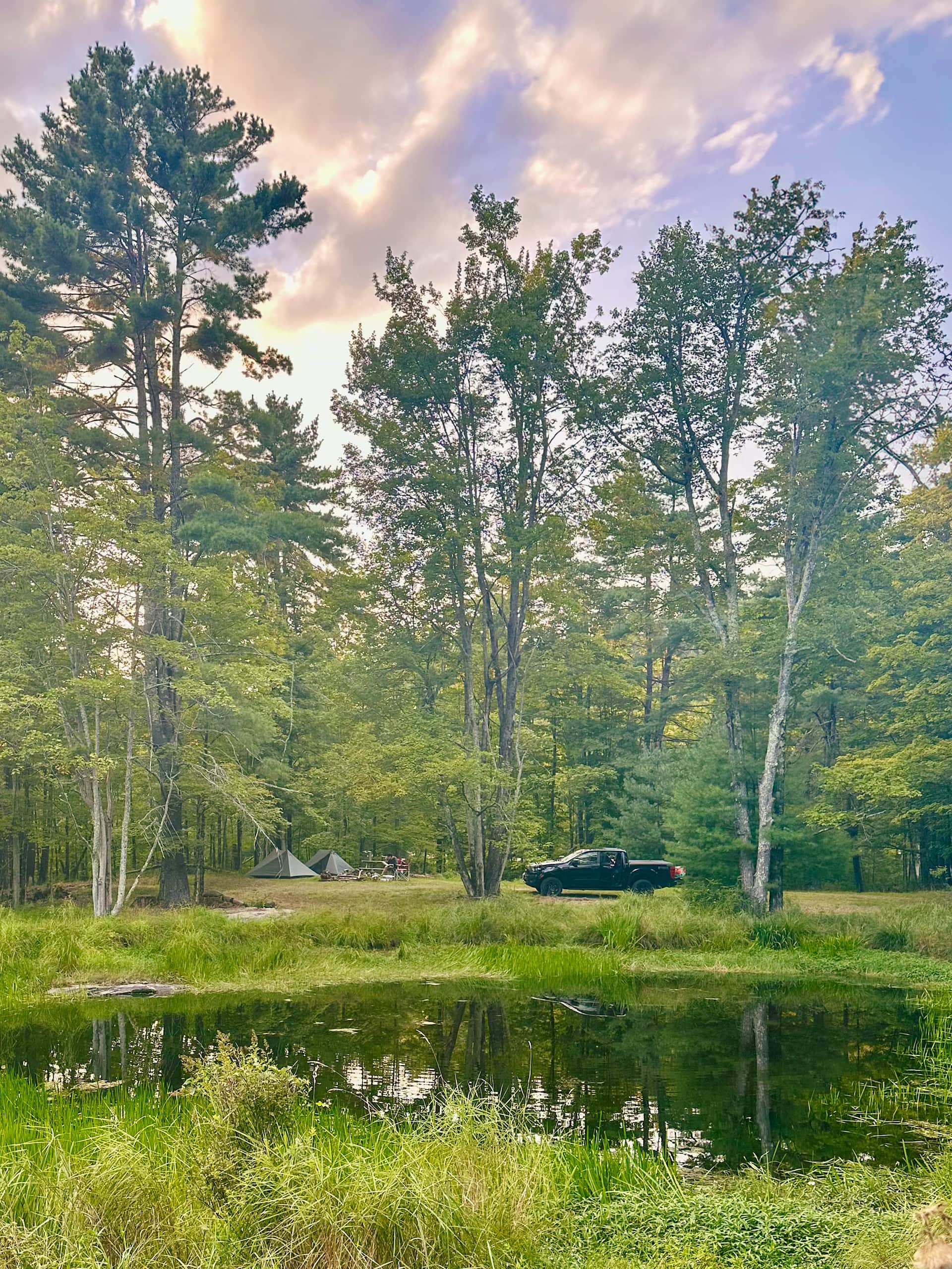 The Knoll at Woodstock Meadows