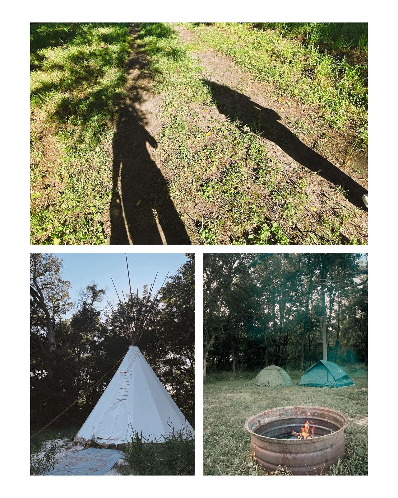 Bear Bottom Ranch