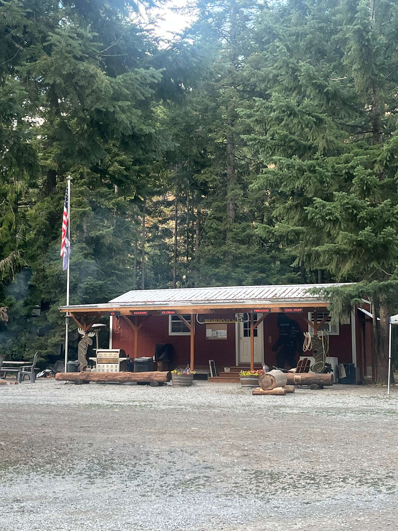 Picture of the site
