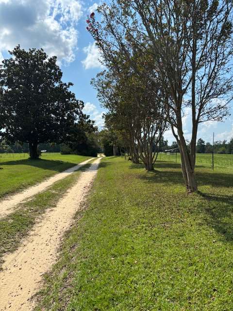 Johnson Farm