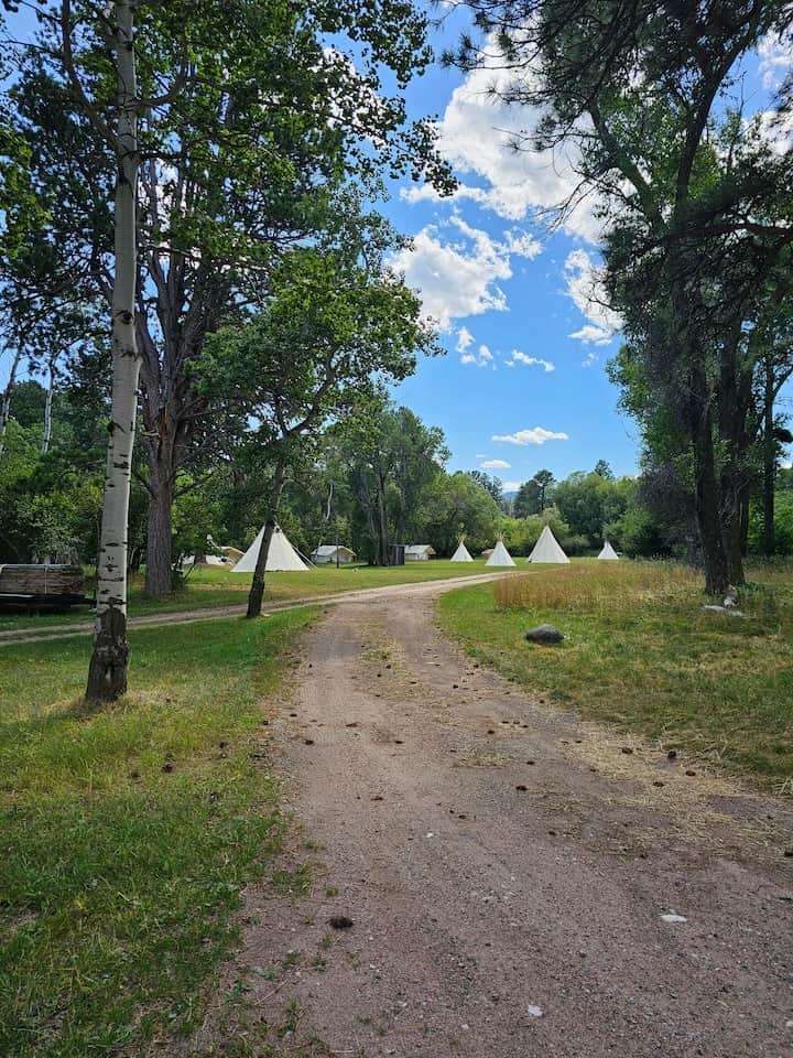 Picture of the site