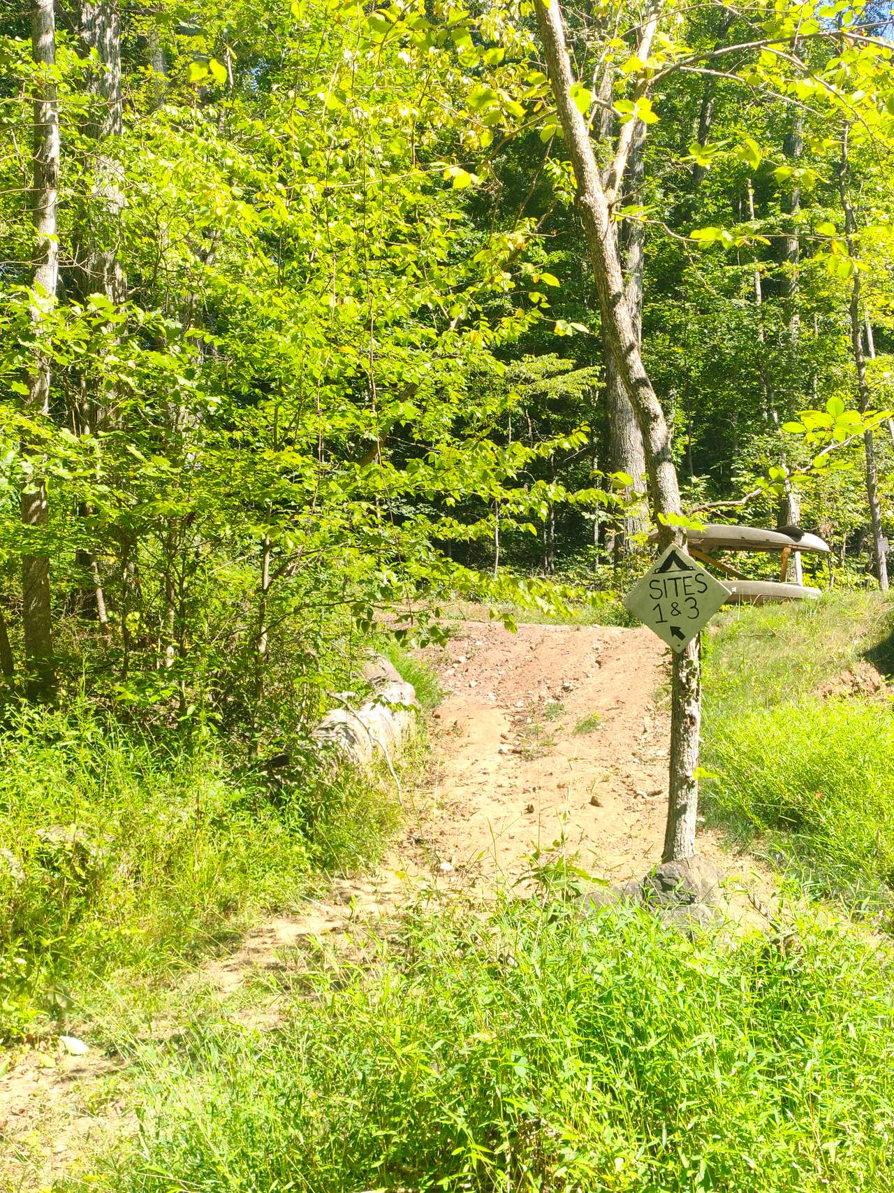 Picture of the site