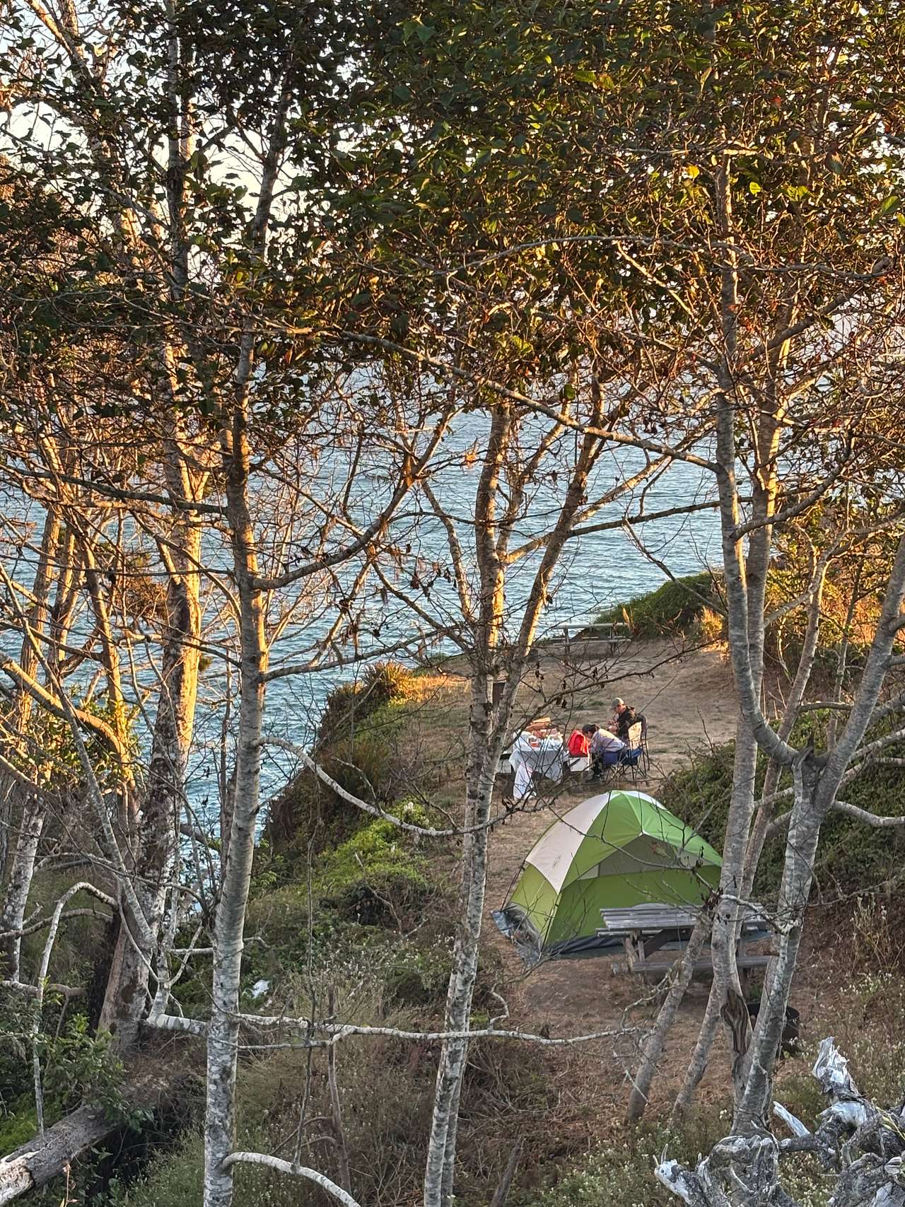 Picture of the site