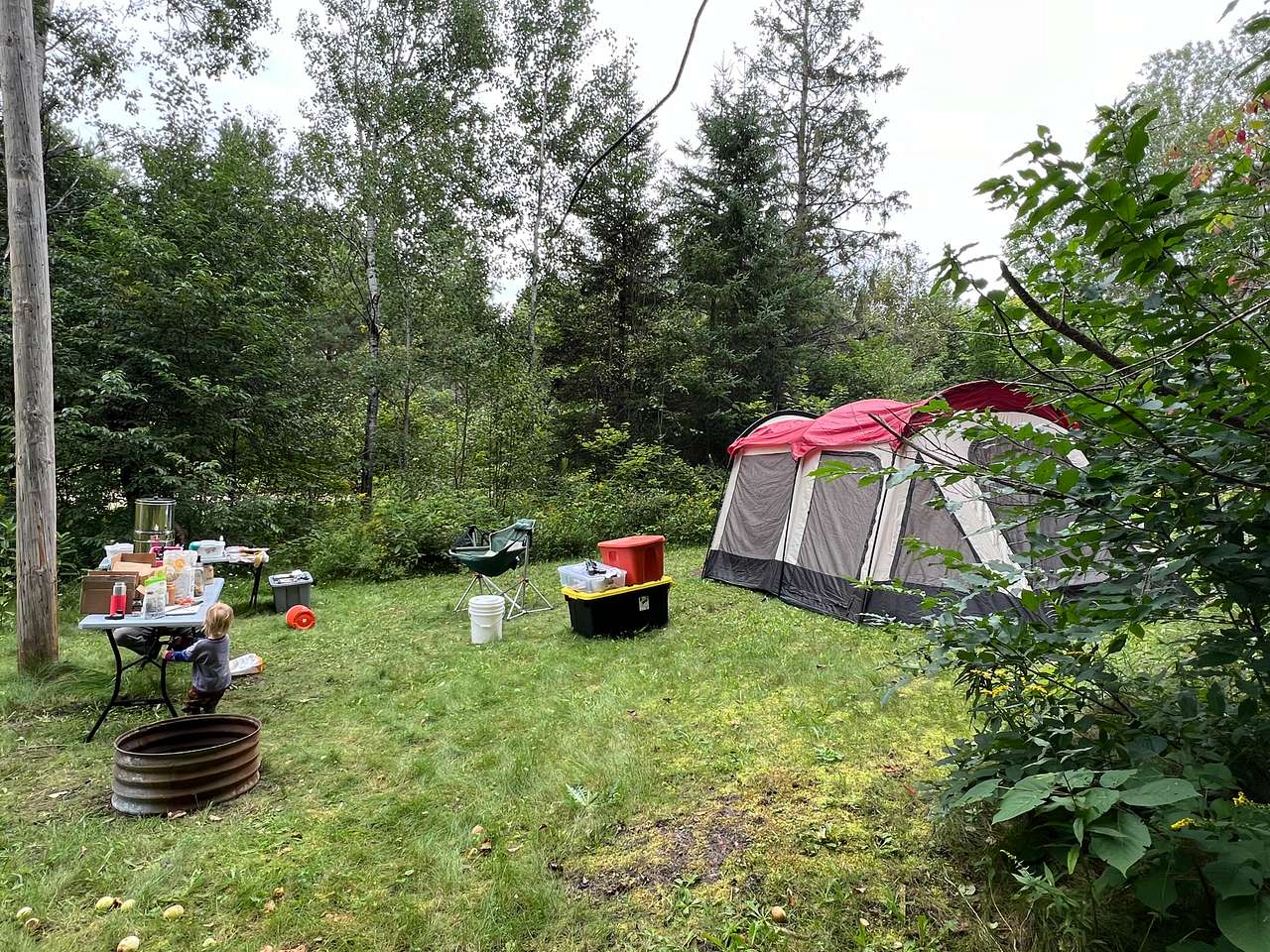 Picture of the site
