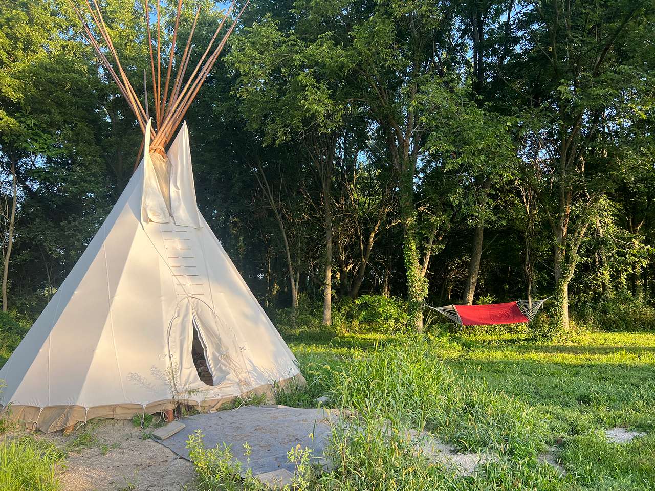 Bear Bottom Ranch