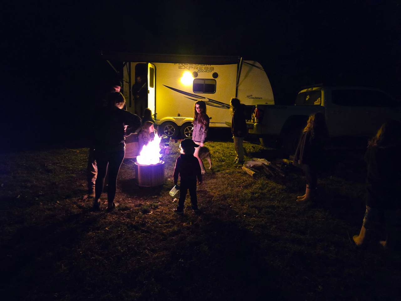 Kovi Bear Camp, Trails/Wildlife