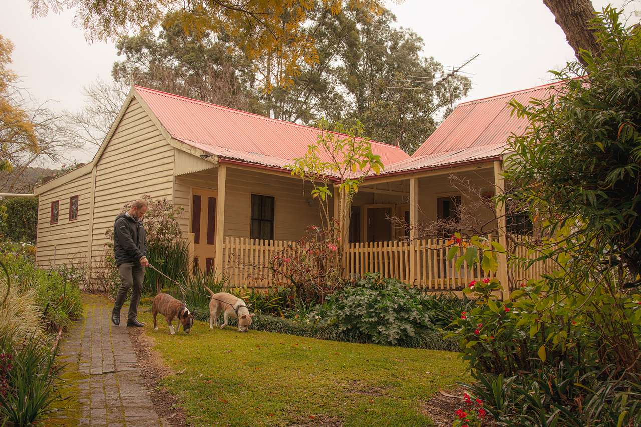 Taking the dogs for a walk in the garden around the cottage