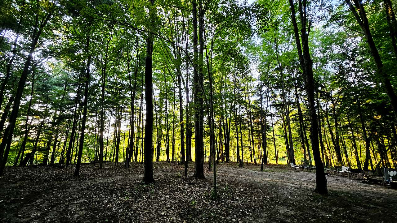 View of campfire from one possible area to set up camp.